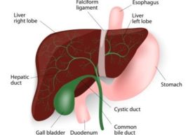 gallbladder inflammation symptoms